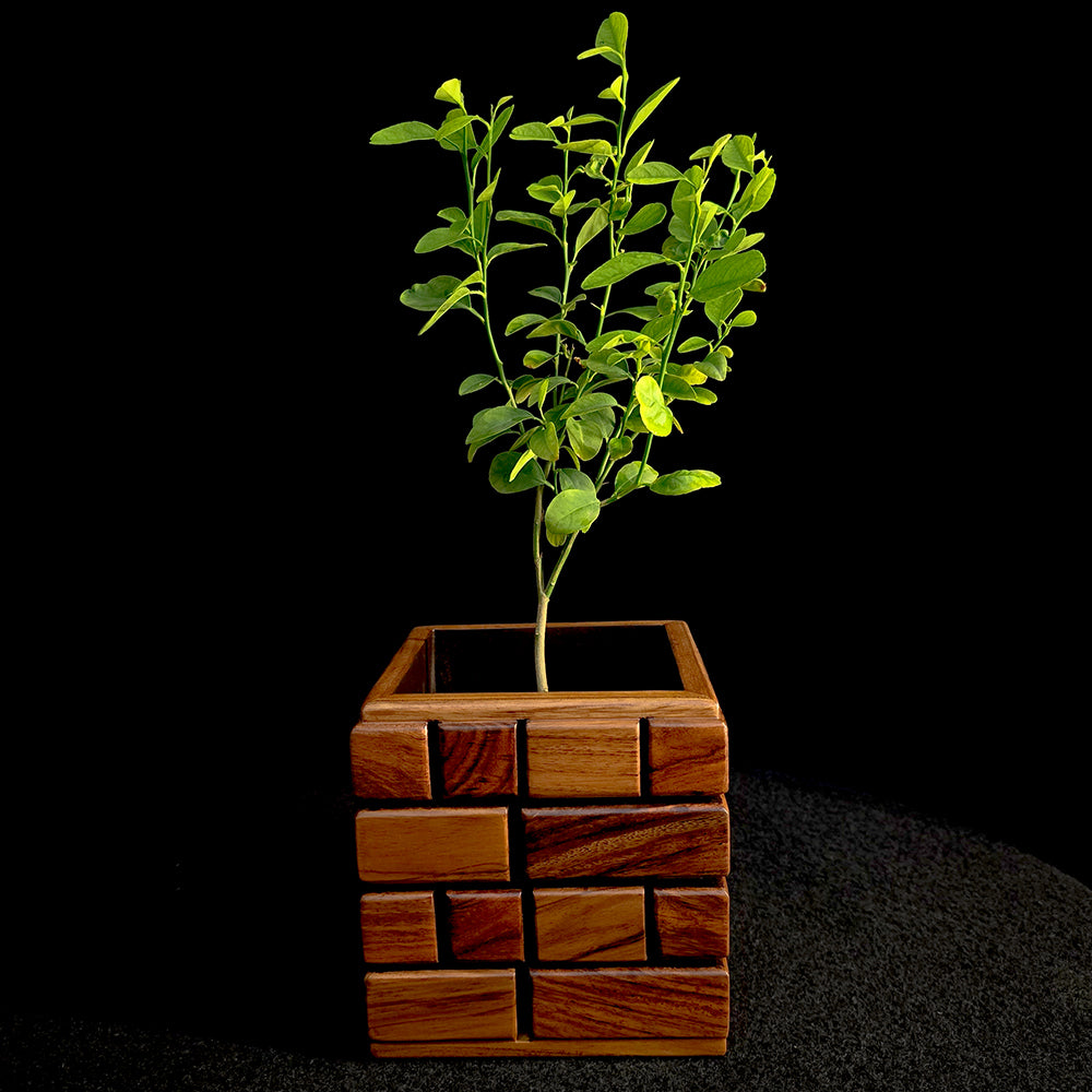 Mosaic Wooden Planter