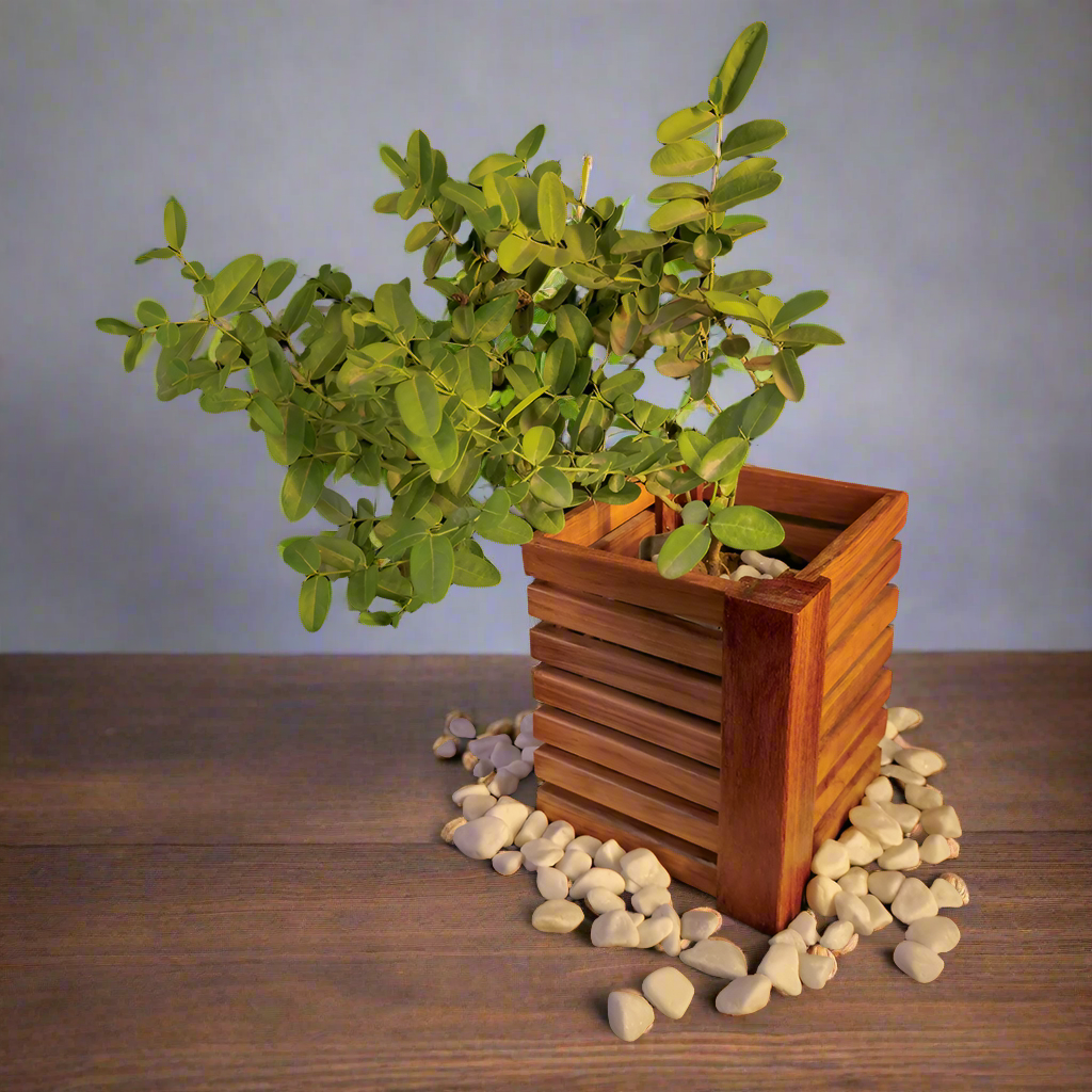 Striped  Wooden Planter