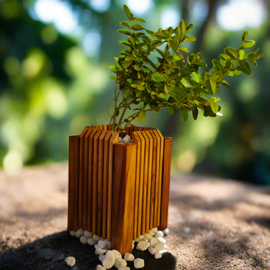 Spiked Wooden Planter
