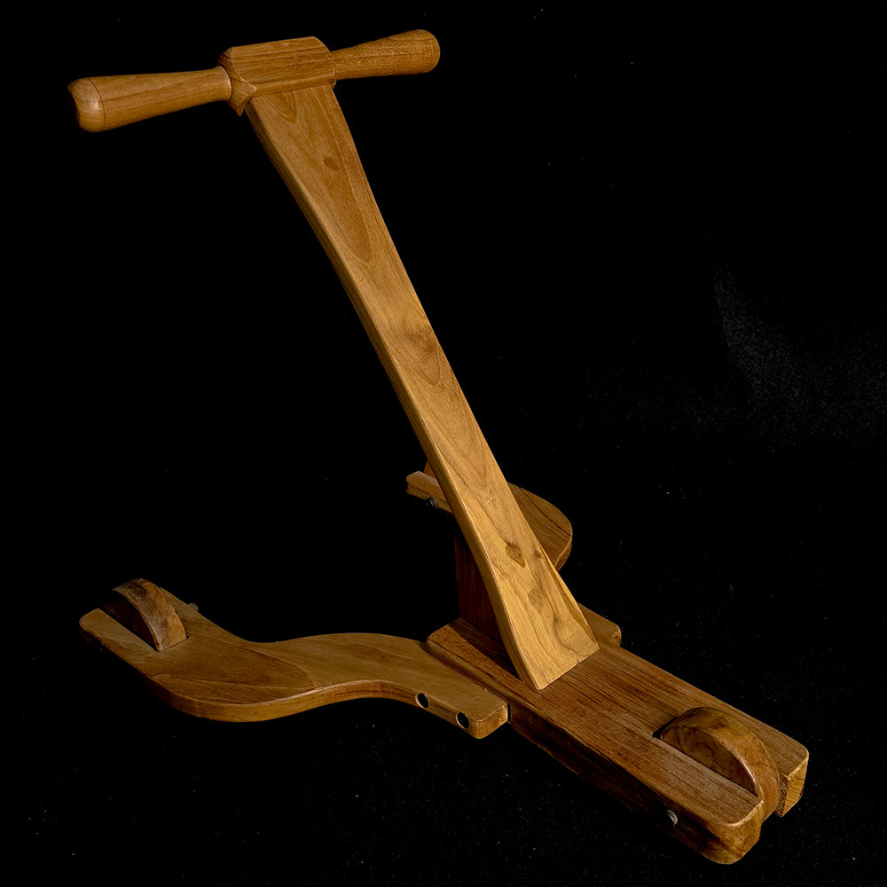 Modern Push Wagon Walker